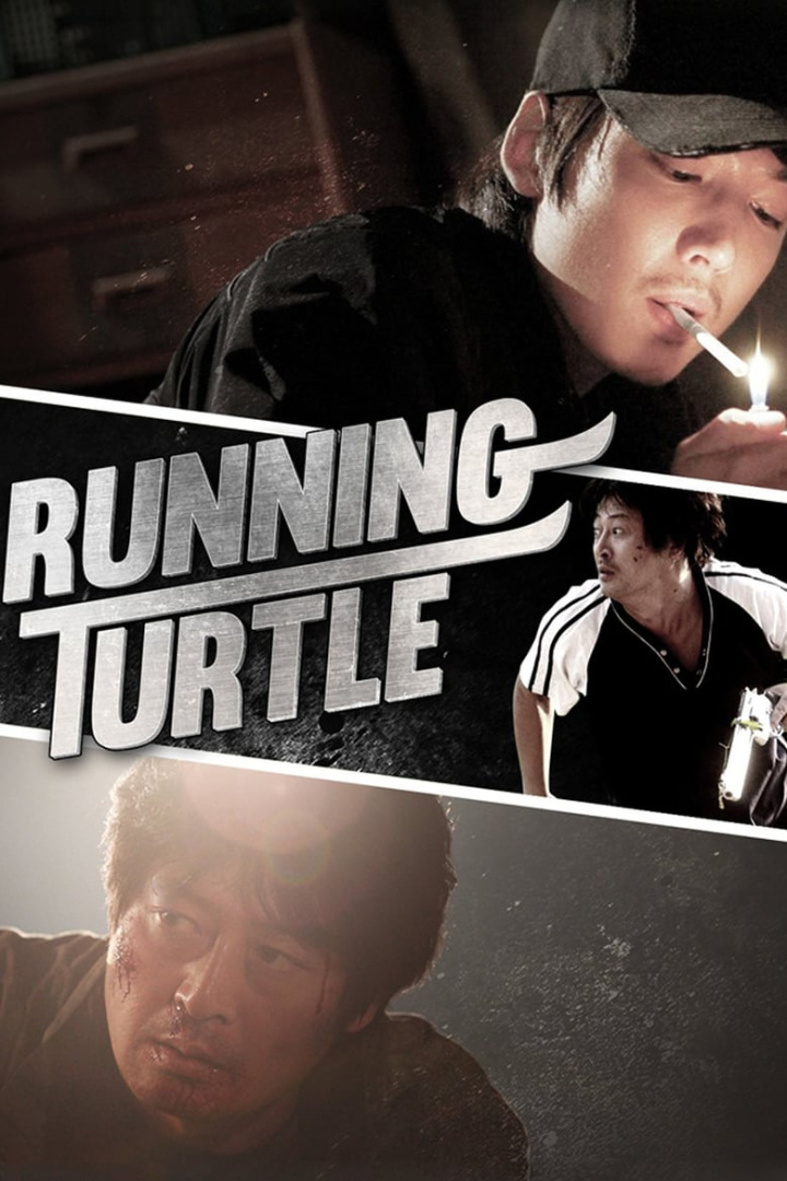 Running Turtle i gruppen Alla filmer hos Mohamad shop (26781)