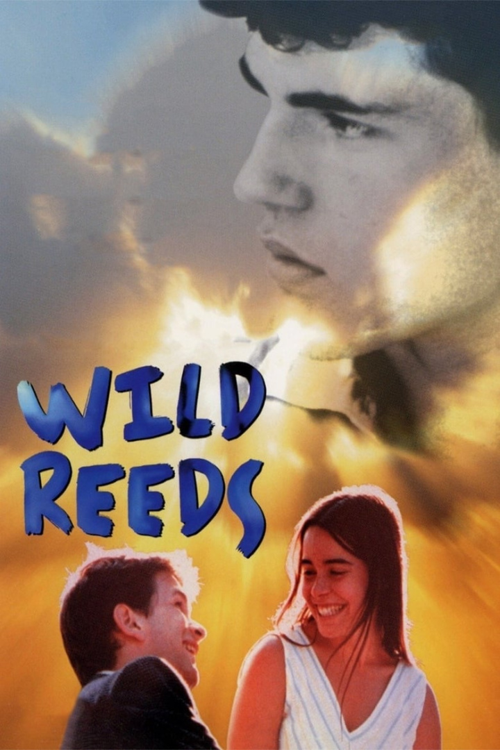 Wild Reeds i gruppen Alla filmer hos Mohamad shop (26933)