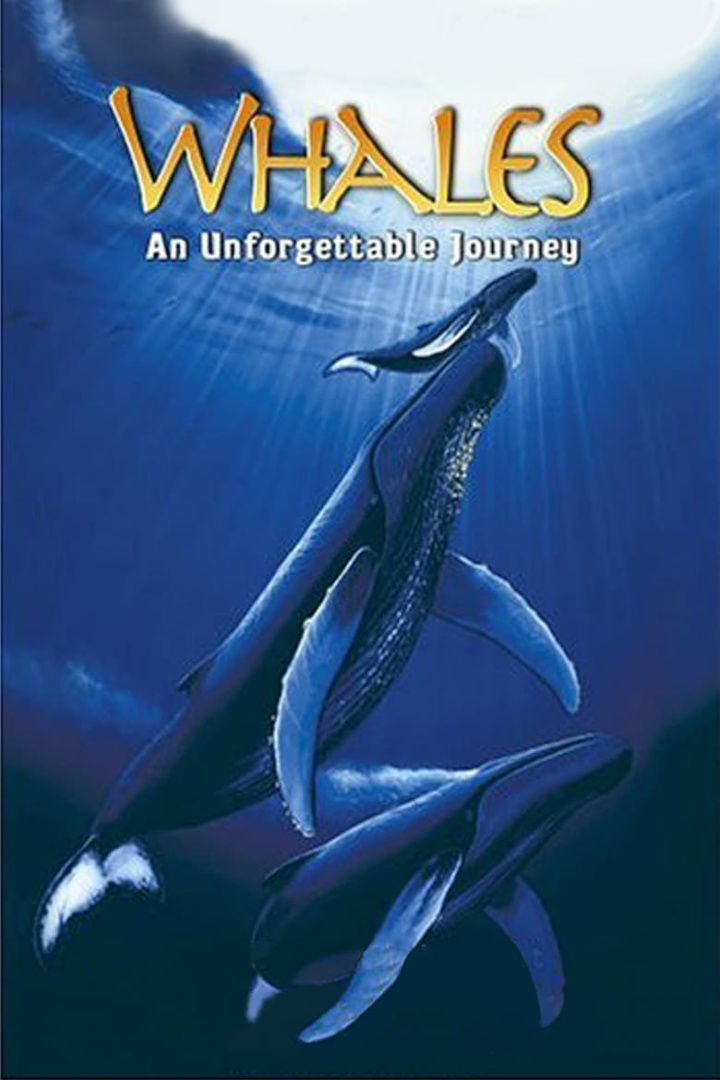 Whales: An Unforgettable Journey i gruppen Alla filmer hos Mohamad shop (26950)