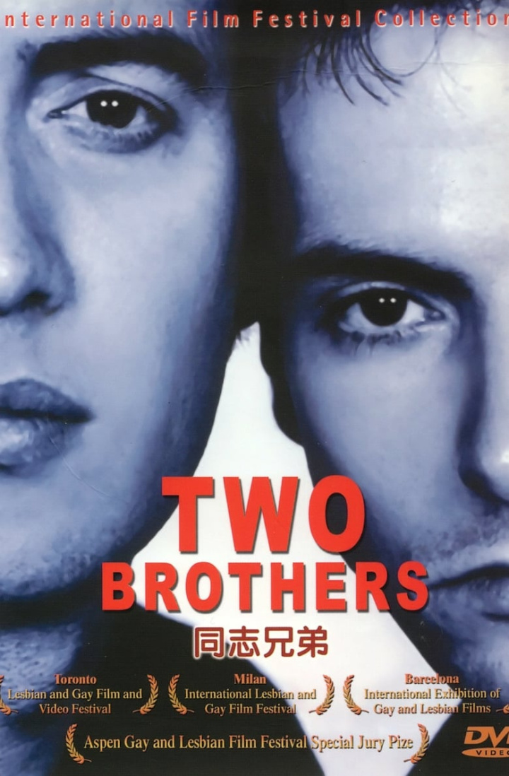 Two Brothers i gruppen Alla filmer hos Mohamad shop (27220)