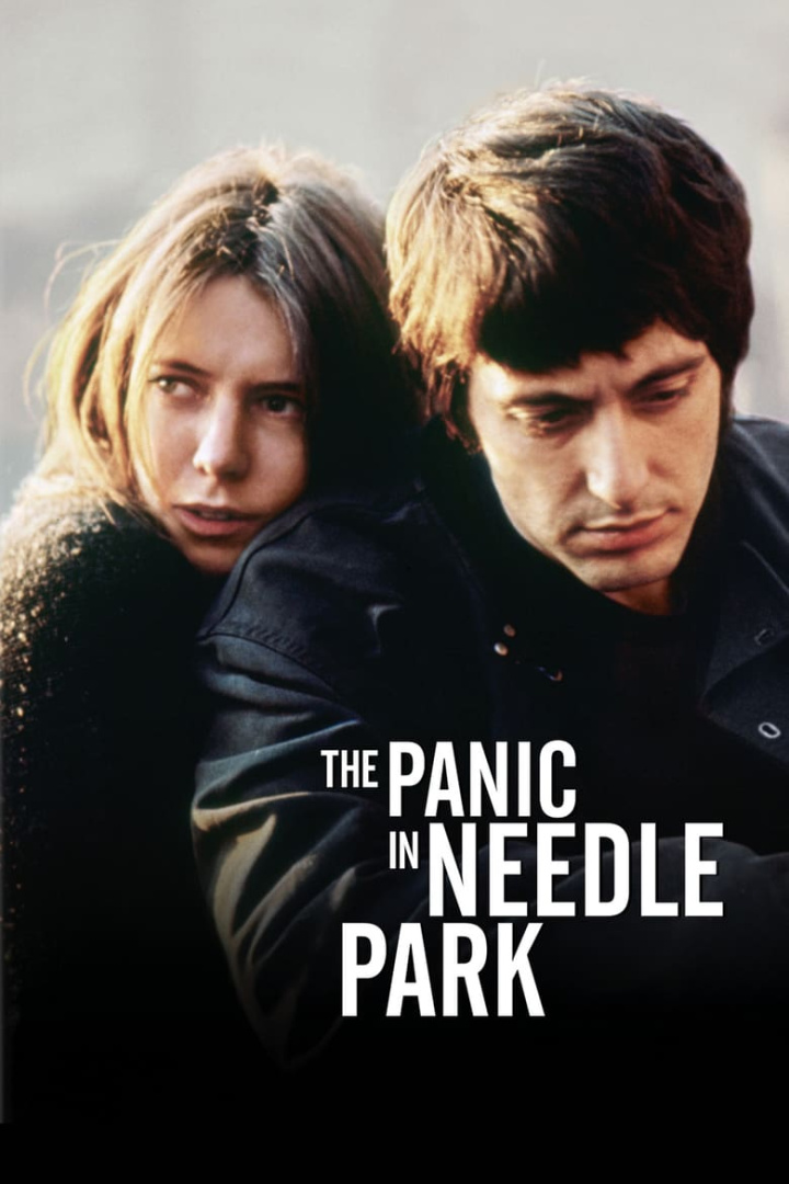 The Panic in Needle Park i gruppen Alla filmer hos Mohamad shop (27554)