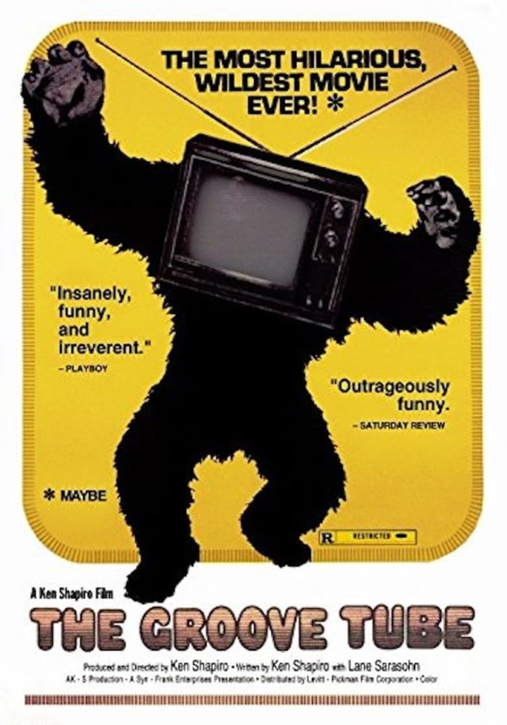 The Groove Tube i gruppen Alla filmer hos Mohamad shop (27977)