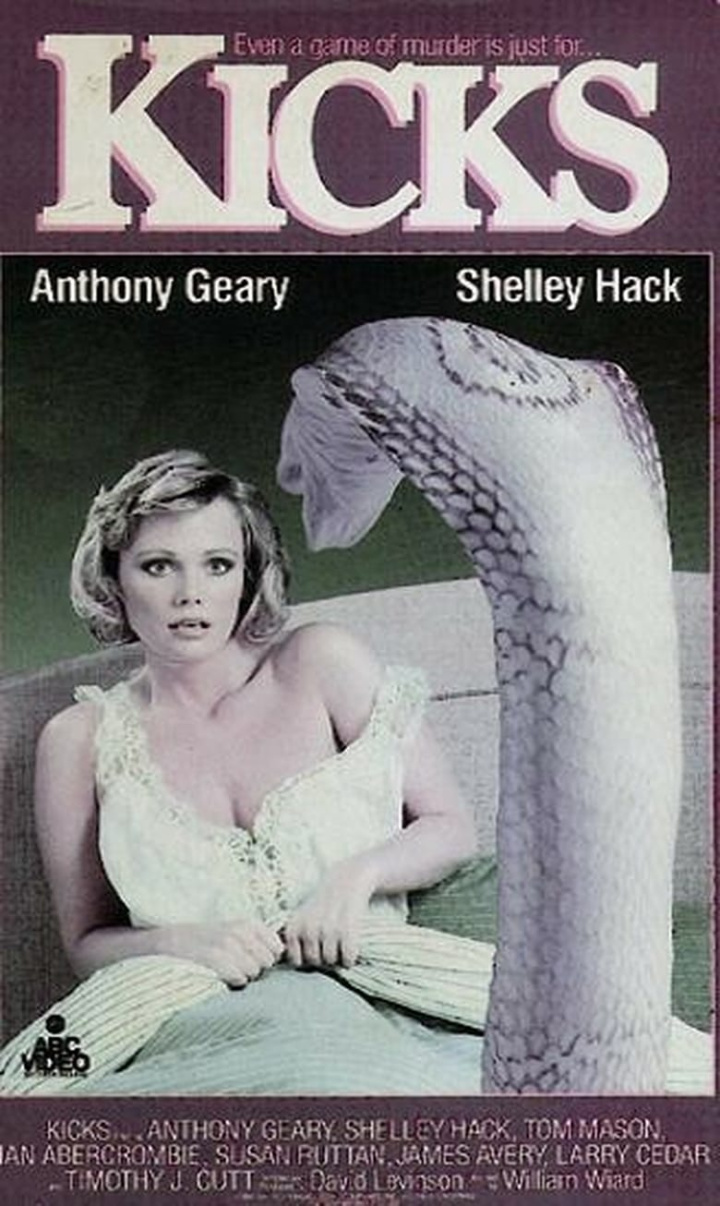 Kicks i gruppen Alla filmer hos Mohamad shop (28199)