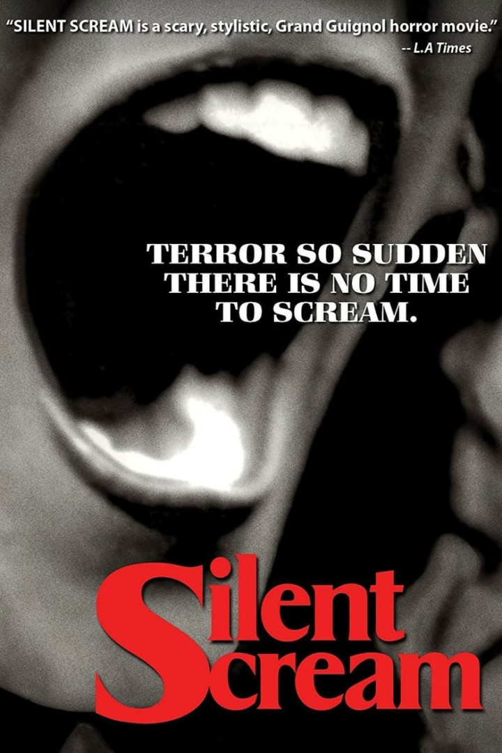 Silent Scream i gruppen Alla filmer hos Mohamad shop (28380)