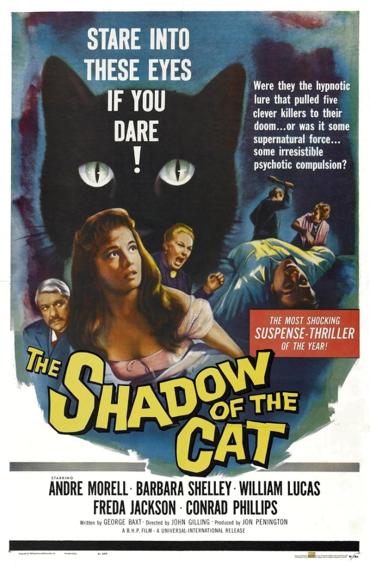 The Shadow of the Cat i gruppen Alla filmer hos Mohamad shop (28720)