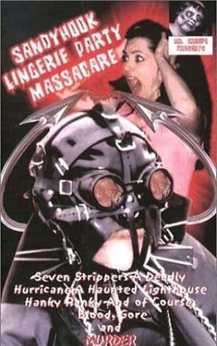 Sandy Hook Lingerie Party Massacre i gruppen Alla filmer hos Mohamad shop (28728)