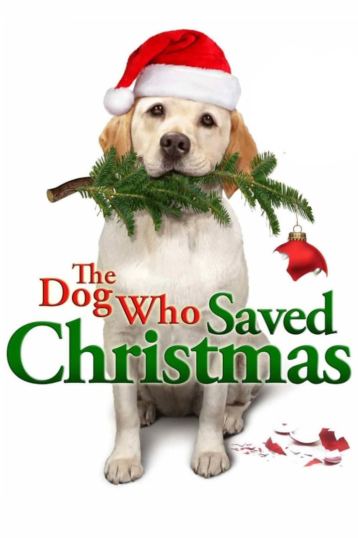 The Dog Who Saved Christmas i gruppen Alla filmer hos Mohamad shop (28904)