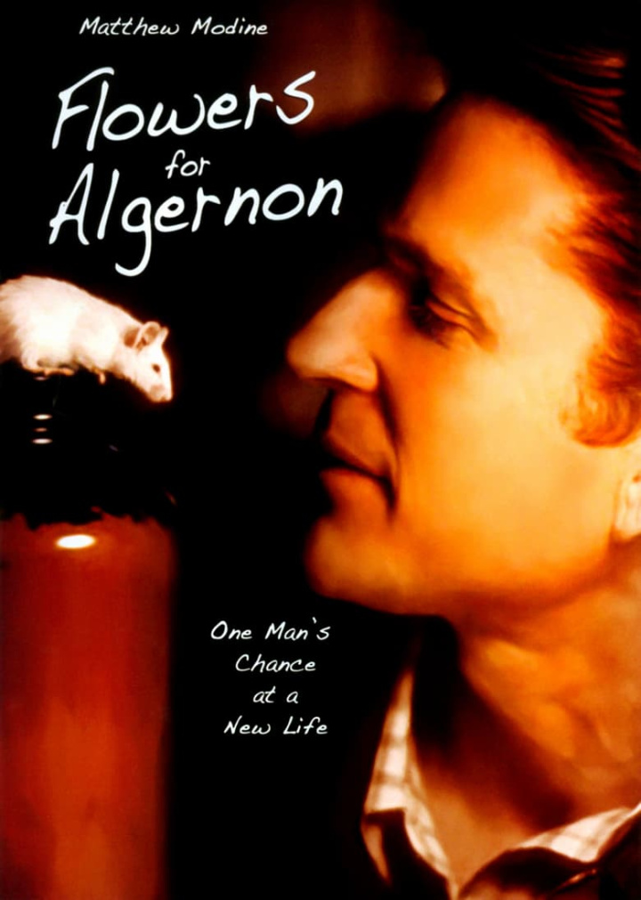 Flowers for Algernon i gruppen Alla filmer hos Mohamad shop (29136)