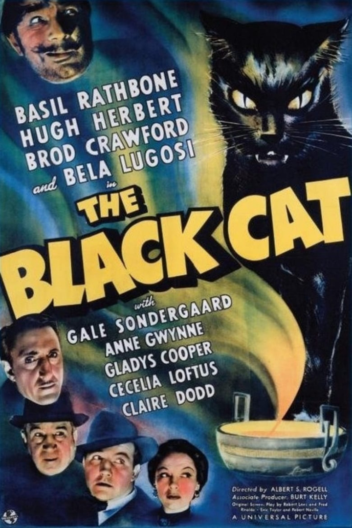 The Black Cat i gruppen Alla filmer hos Mohamad shop (29286)