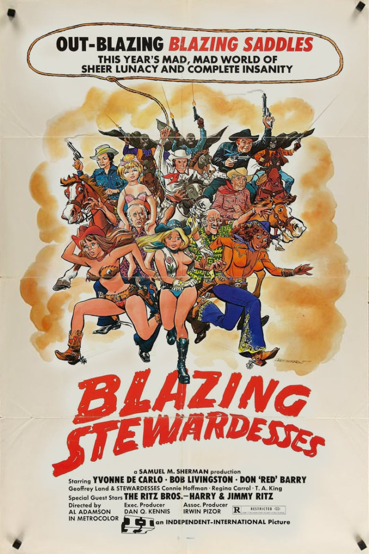 Blazing Stewardesses i gruppen Alla filmer hos Mohamad shop (29418)