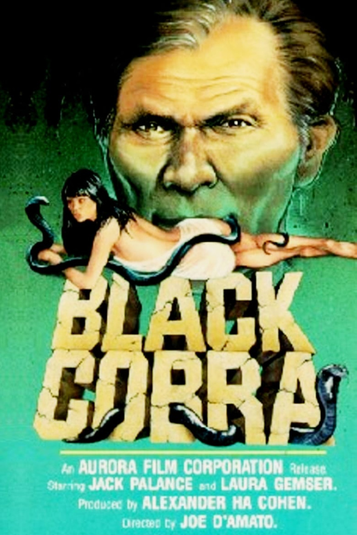 Black Cobra i gruppen Alla filmer hos Mohamad shop (29955)