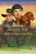 Where the Red Fern Grows