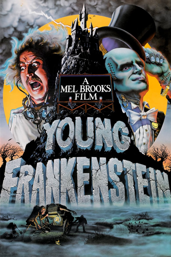 Young Frankenstein i gruppen Alla filmer hos Mohamad shop (3034)