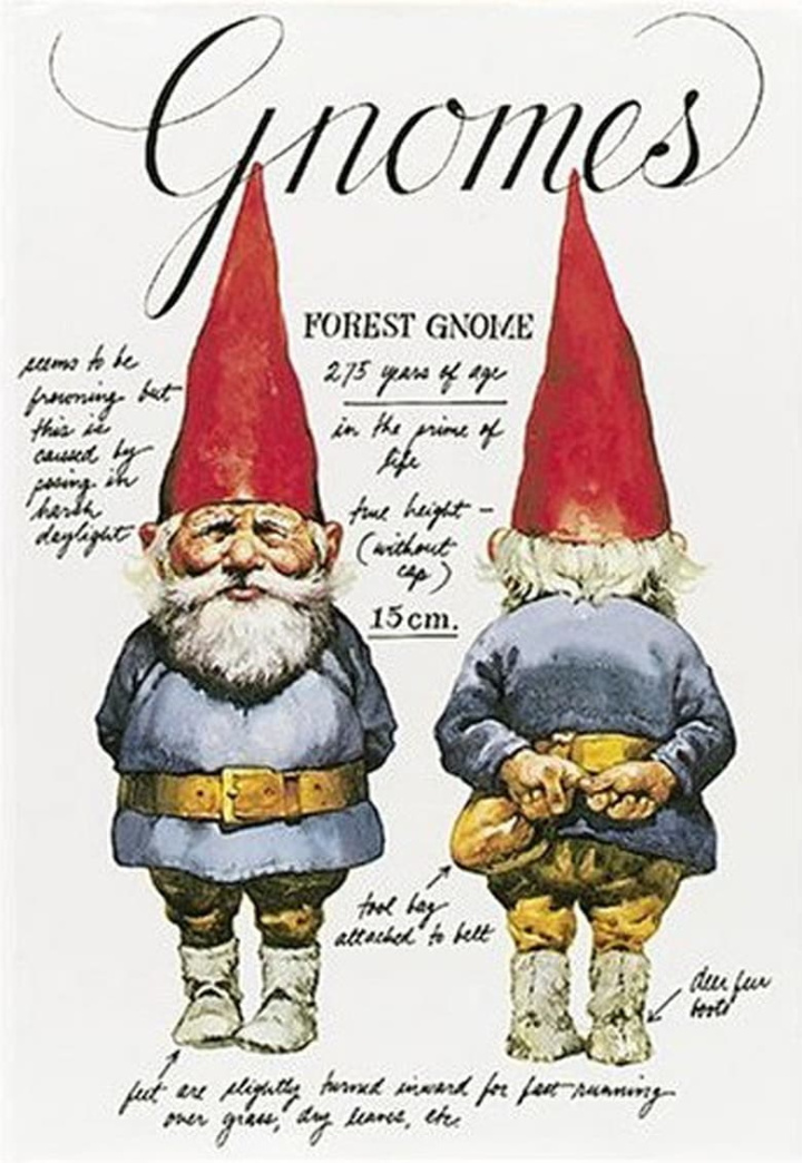 Gnomes i gruppen Alla filmer hos Mohamad shop (30703)