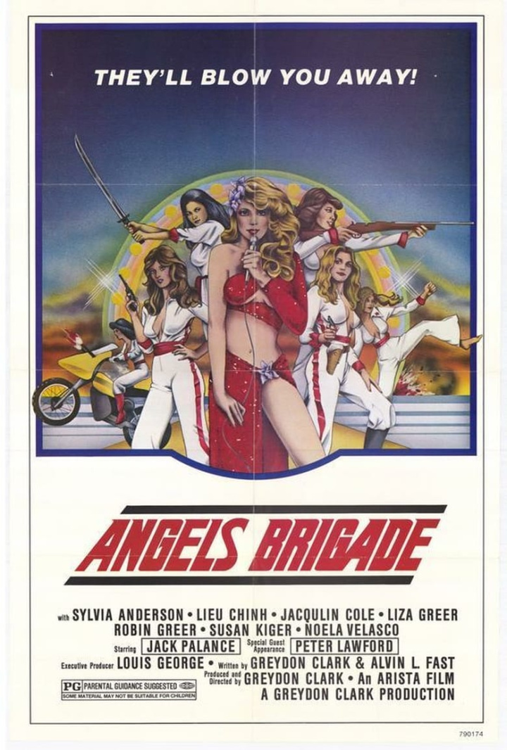 Angels\' Brigade i gruppen Alla filmer hos Mohamad shop (31251)