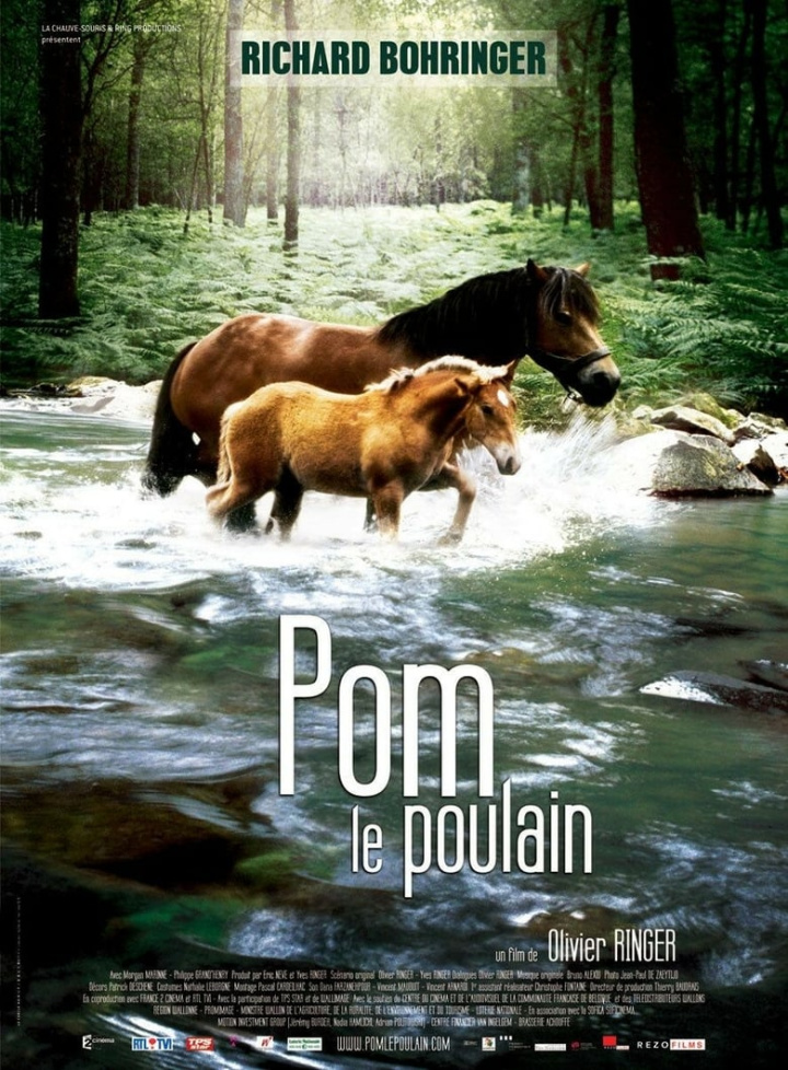 Pom, le poulain i gruppen Alla filmer hos Mohamad shop (31437)