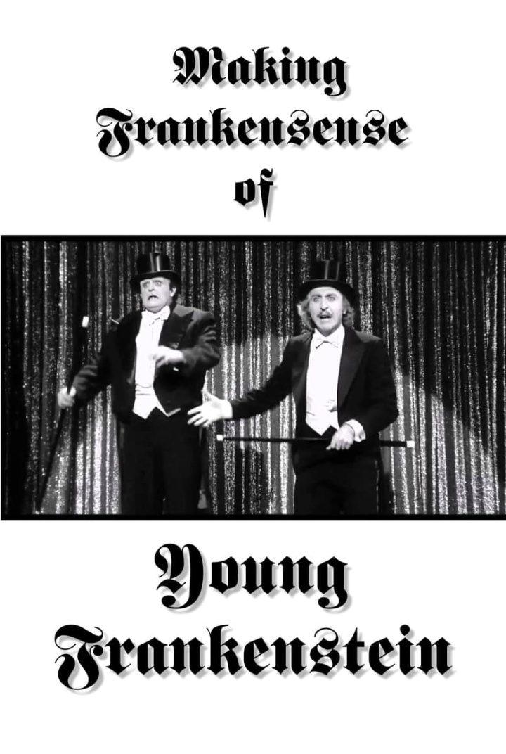 Making Frankensense of Young Frankenstein i gruppen Alla filmer hos Mohamad shop (3161)
