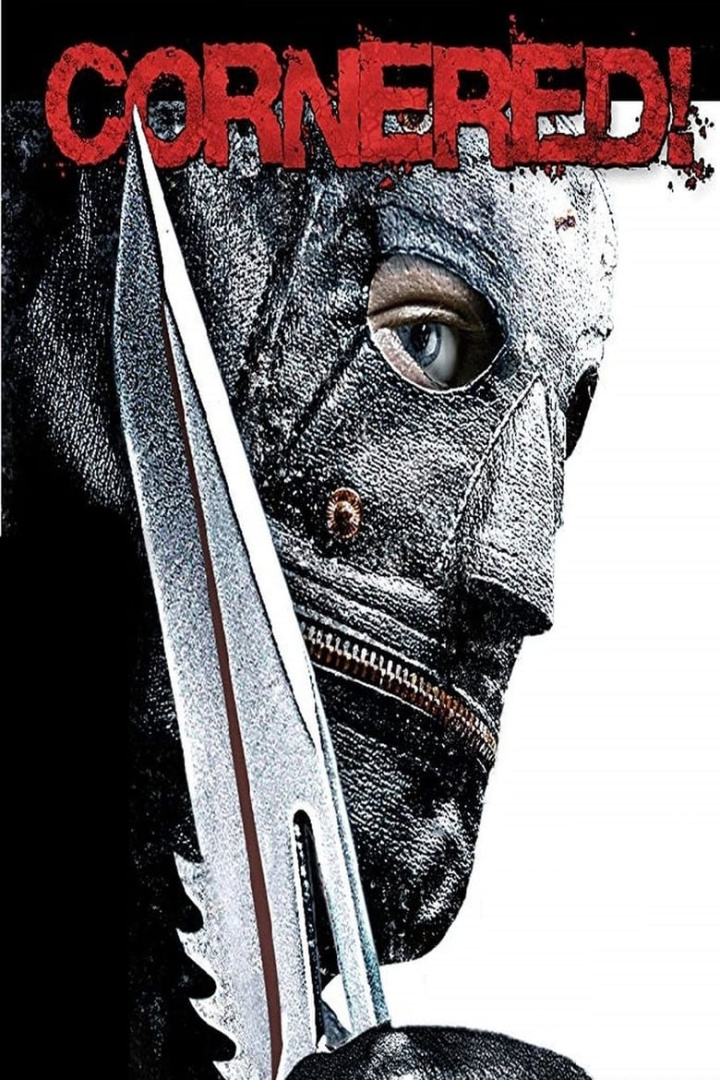 Cornered! i gruppen Alla filmer hos Mohamad shop (32285)