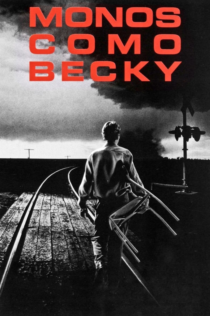 Monkeys Like Becky i gruppen Alla filmer hos Mohamad shop (32548)