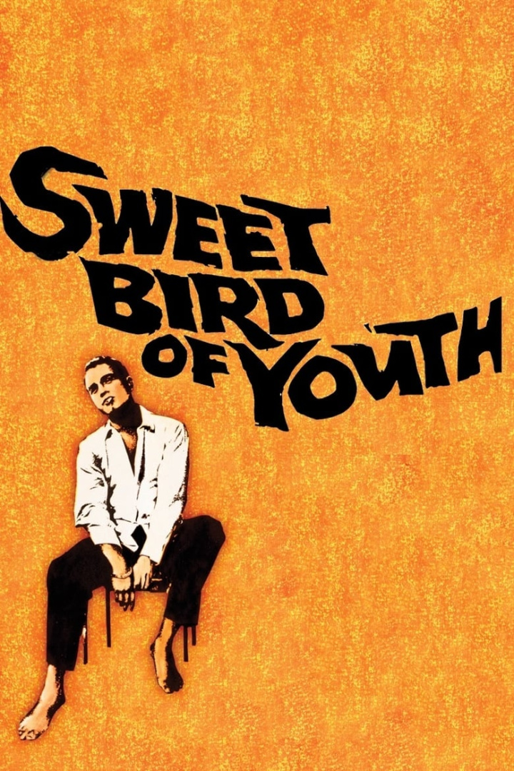Sweet Bird of Youth i gruppen Alla filmer hos Mohamad shop (33632)
