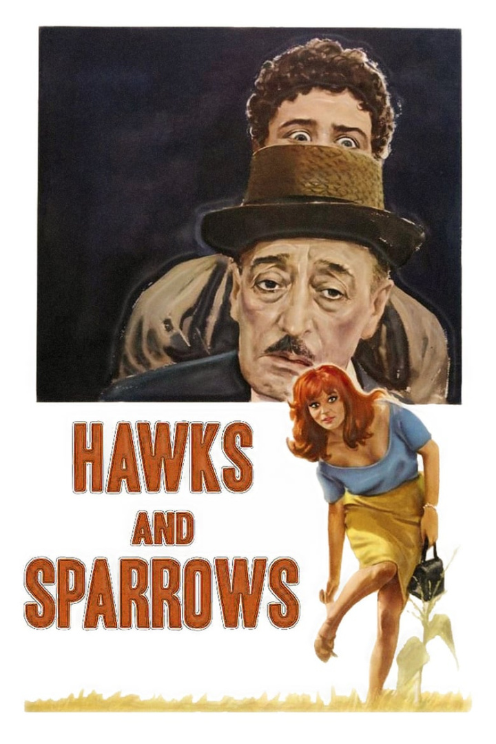 Hawks and Sparrows i gruppen Alla filmer hos Mohamad shop (33954)