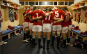 Living With The Pride: Lions Tour 2009