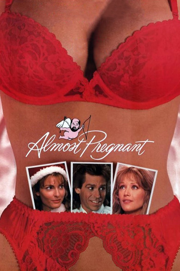 Almost Pregnant i gruppen Alla filmer hos Mohamad shop (34756)