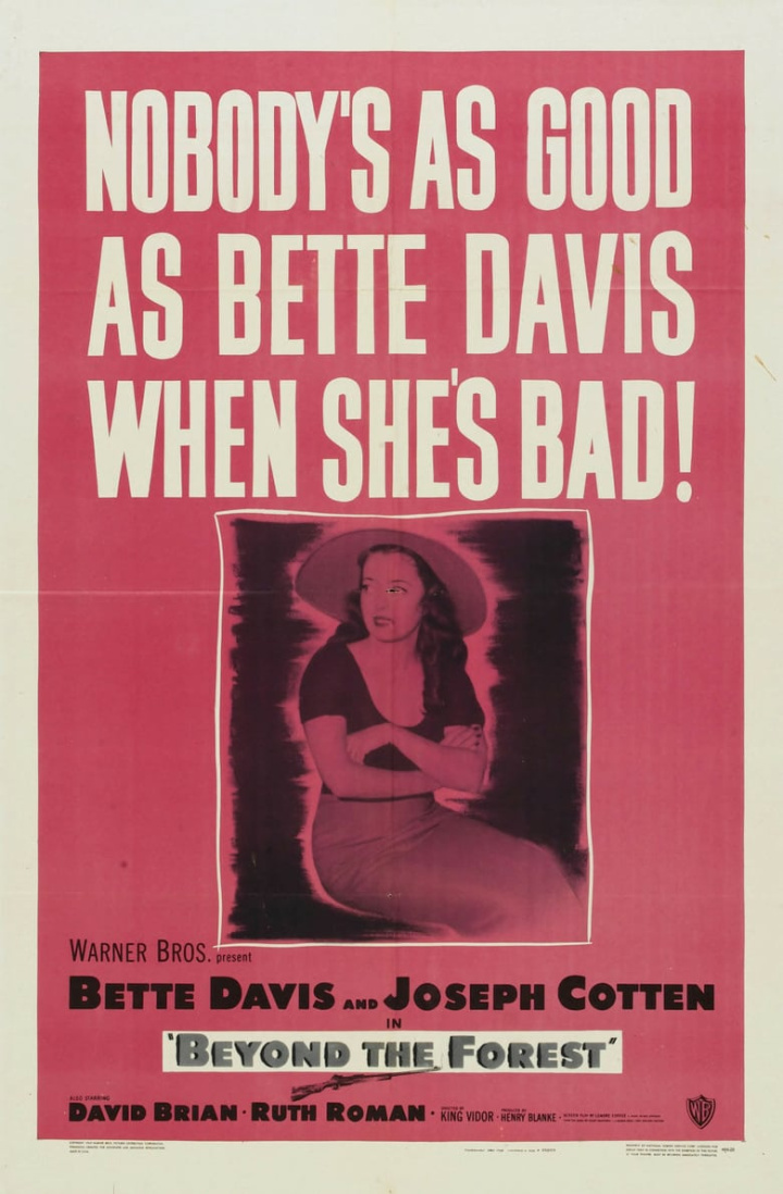 Beyond the Forest i gruppen Alla filmer hos Mohamad shop (35896)