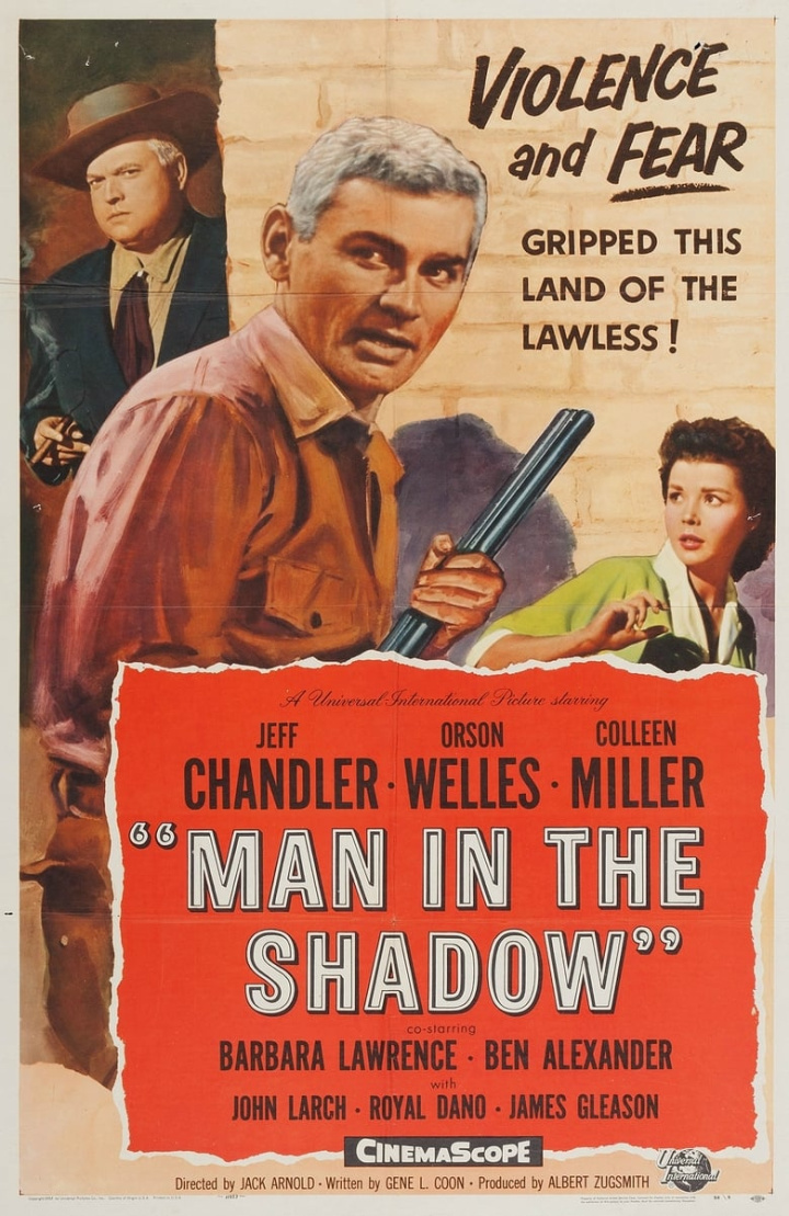 Man in the Shadow i gruppen Alla filmer hos Mohamad shop (36459)