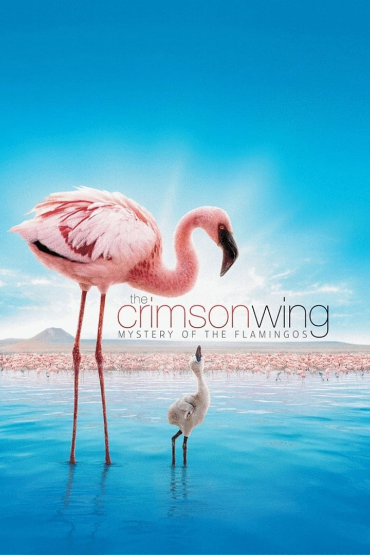 The Crimson Wing: Mystery of the Flamingos i gruppen Alla filmer hos Mohamad shop (36569)