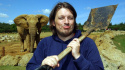 Richard Herring: The Twelve Tasks Of Hercules Terrace