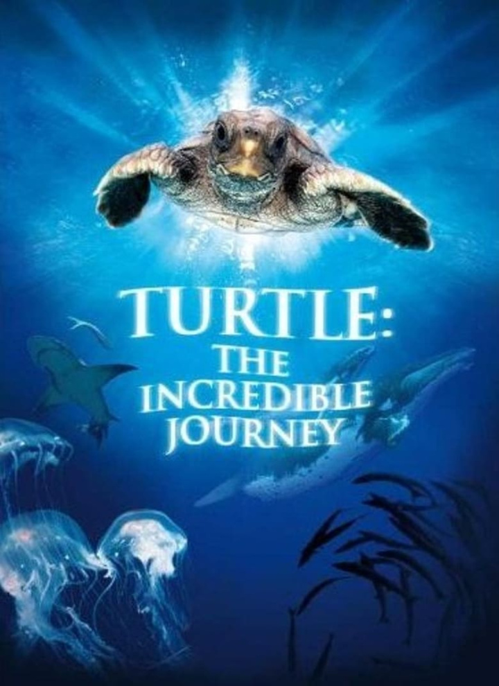 Turtle: The Incredible Journey i gruppen Alla filmer hos Mohamad shop (36974)