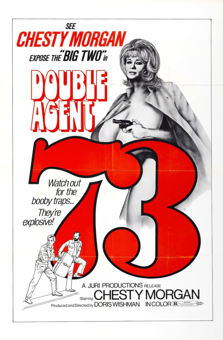Double Agent 73 i gruppen Alla filmer hos Mohamad shop (37043)