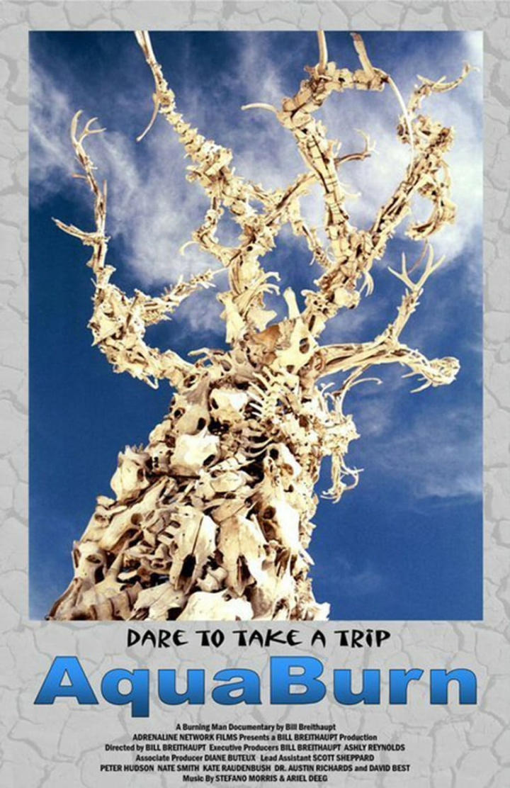 AquaBurn i gruppen Alla filmer hos Mohamad shop (37231)