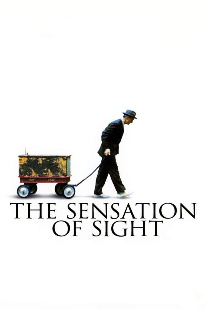 The Sensation of Sight i gruppen Alla filmer hos Mohamad shop (37780)