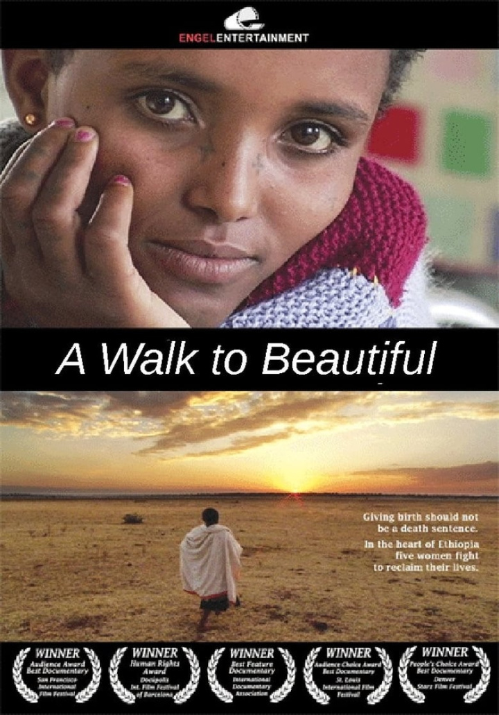 A Walk to Beautiful i gruppen Alla filmer hos Mohamad shop (37955)