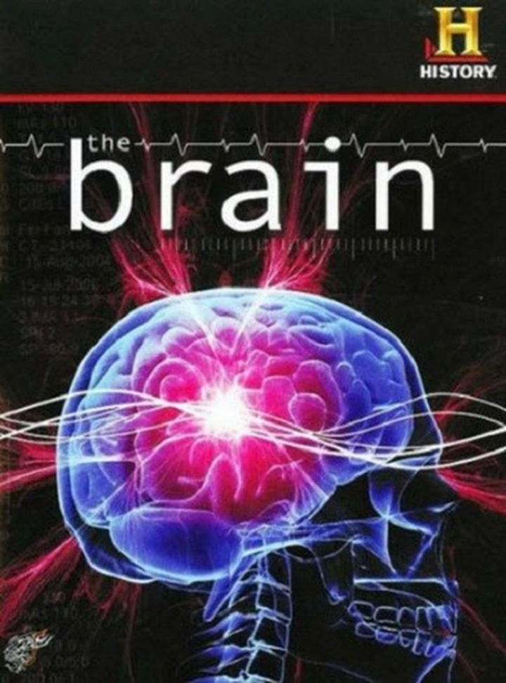 The Brain i gruppen Alla filmer hos Mohamad shop (38158)