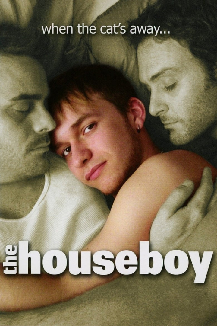 The Houseboy i gruppen Alla filmer hos Mohamad shop (39033)