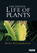 The Private Life of Plants