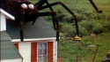 The Giant Spider Invasion