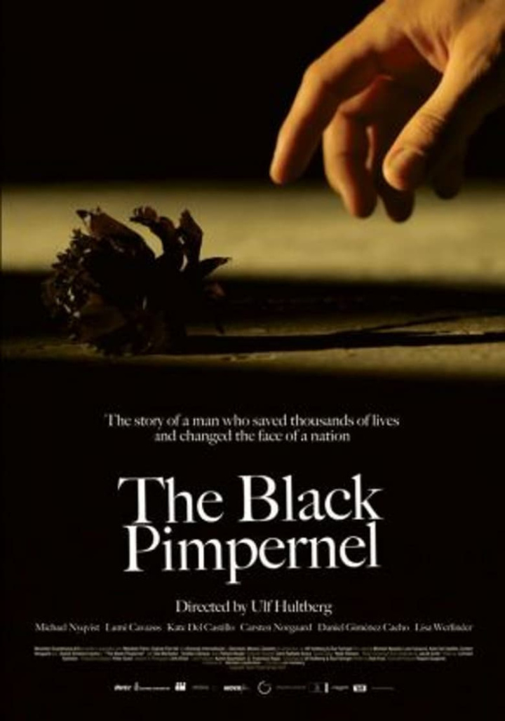 The Black Pimpernel i gruppen Drama hos Mohamad shop (39166)