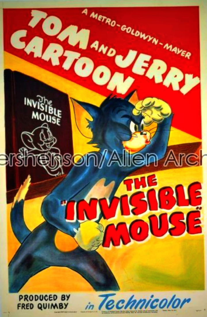 The Invisible Mouse i gruppen Alla filmer hos Mohamad shop (40232)