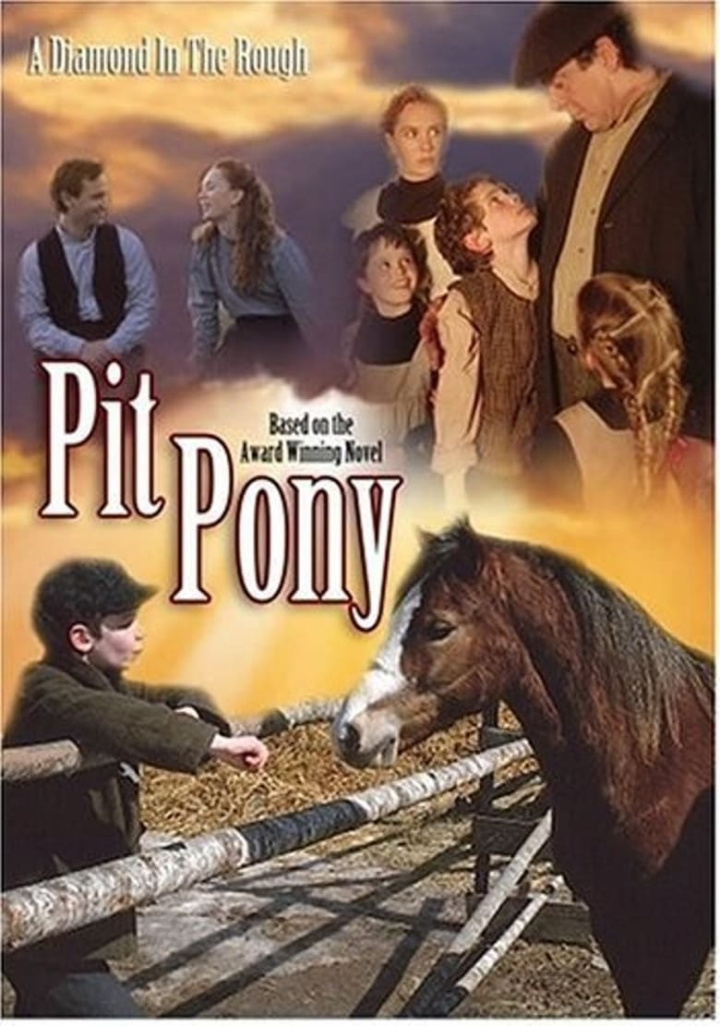 Pit Pony i gruppen Alla filmer hos Mohamad shop (40519)