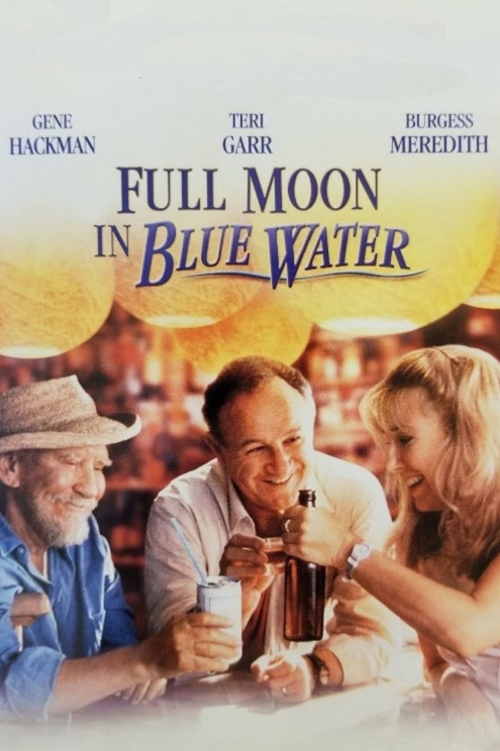 Full Moon in Blue Water i gruppen Alla filmer hos Mohamad shop (40555)