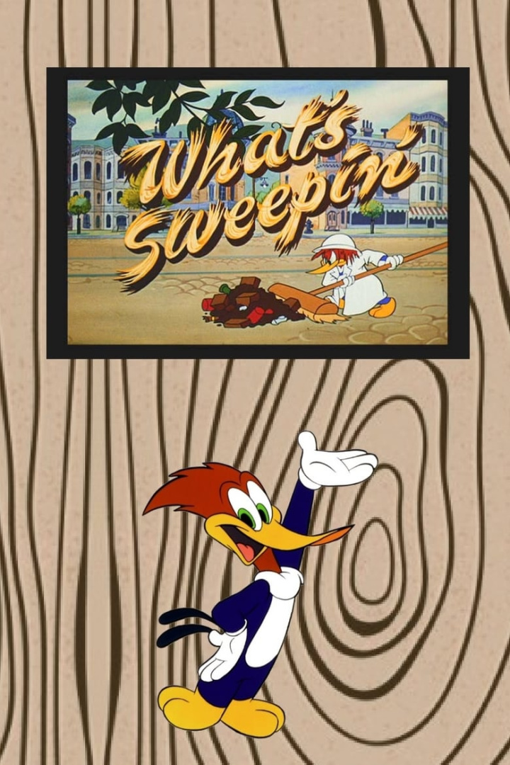 What\'s Sweepin\'? i gruppen Alla filmer hos Mohamad shop (40616)