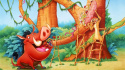 Around the World With Timon & Pumbaa