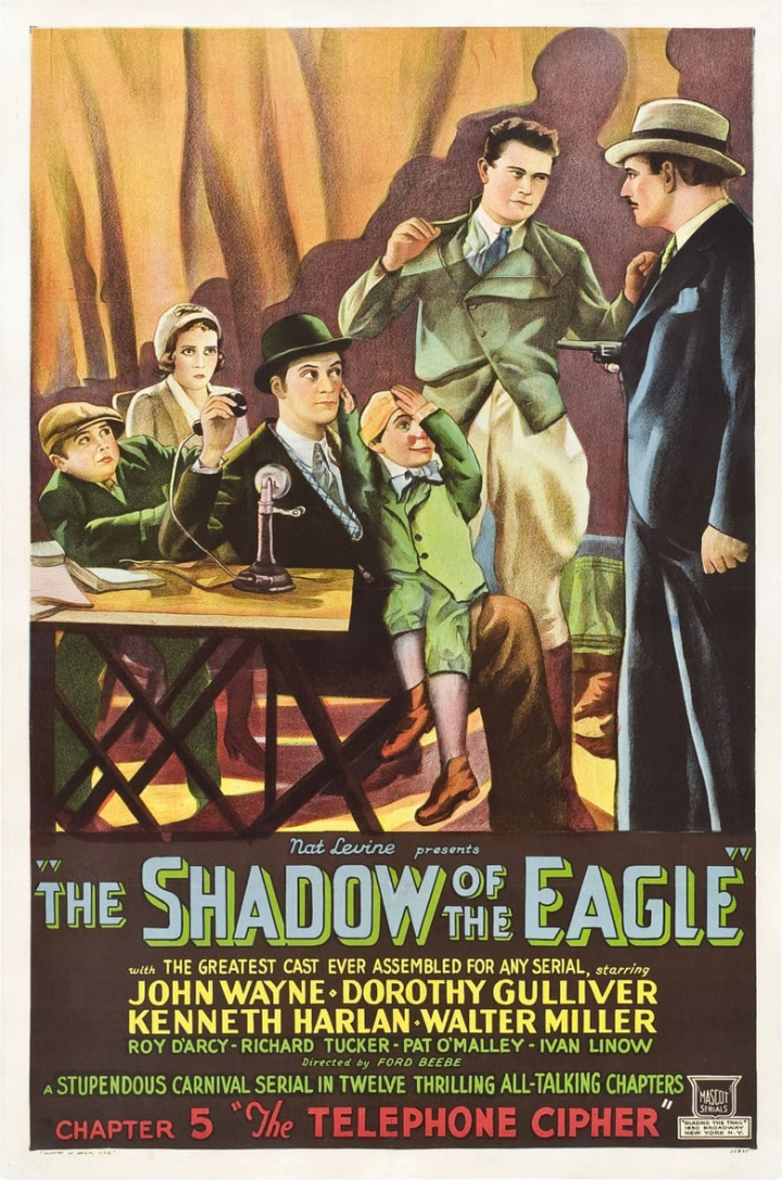 The Shadow of the Eagle i gruppen Alla filmer hos Mohamad shop (40725)