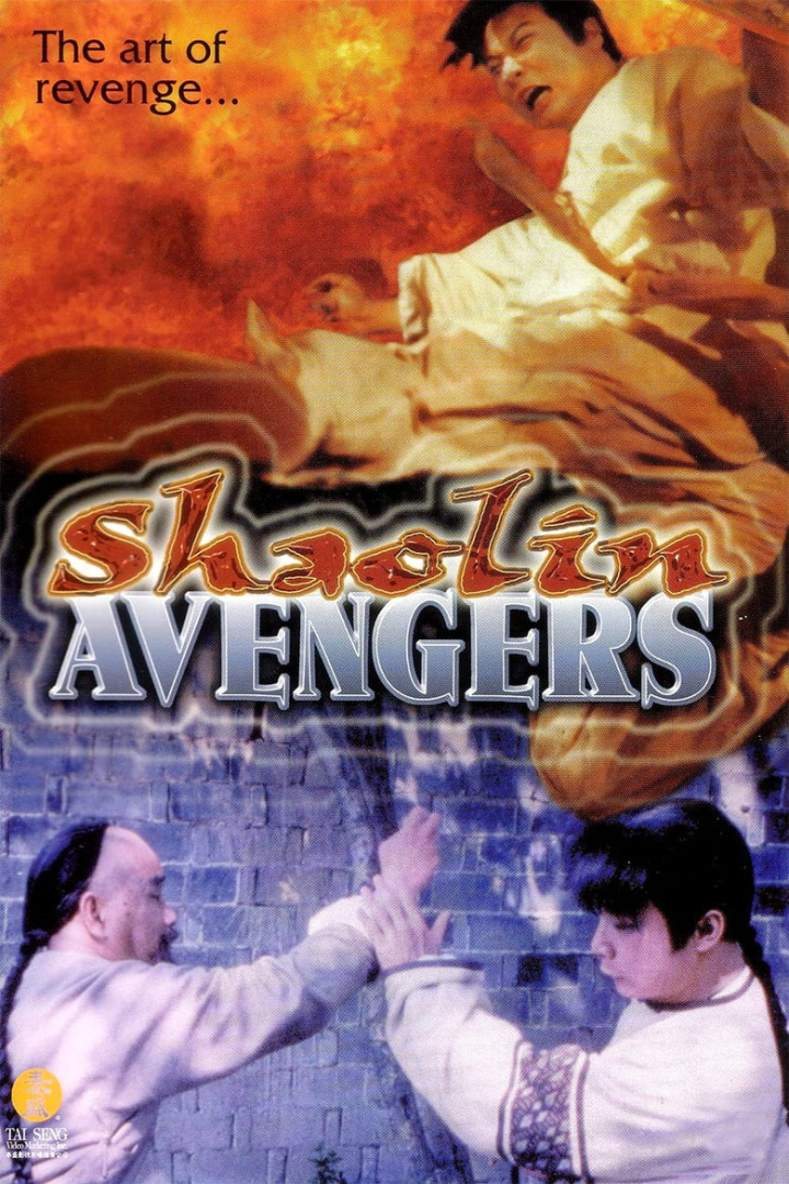 Shaolin Avengers i gruppen Alla filmer hos Mohamad shop (40830)