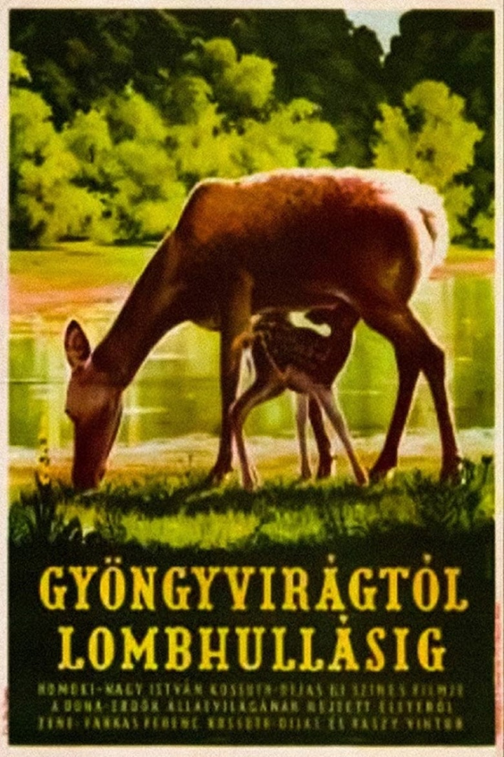 From Blossom Time to Autumn Frost i gruppen Alla filmer hos Mohamad shop (41008)