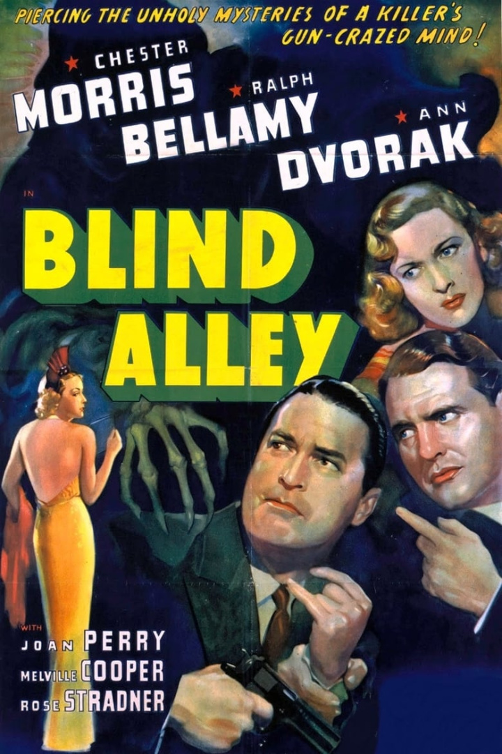 Blind Alley i gruppen Alla filmer hos Mohamad shop (41234)